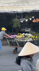 Evening market life captured across Da Lat, Vietnam