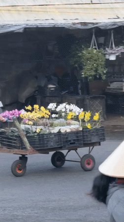 Evening market life captured across Da Lat, Vietnam