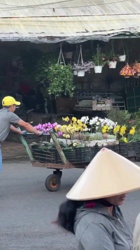 Evening market life captured across Da Lat, Vietnam