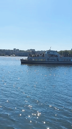 Street musician performs at Ternopil waterfront on sunny afternoon