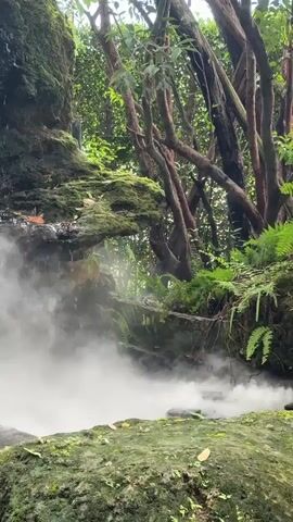 The video shows a close-up view of a small waterfall cascading down a moss-covered rock face into a pool shrouded in mist. Lush green foliage, including ferns, surrounds the waterfall. The water appears to be falling from a ledge on the left side of the frame, creating a spray that mixes with the mist. The mist is thickest at the bottom of the waterfall, obscuring the pool below. The rock face is dark and textured, with some areas appearing damp. The overall environment is natural and serene, suggesting a secluded spot within a forest or garden. The lighting is subdued, contributing to the misty atmosphere. There are no people or animals visible in the video.