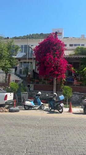 Street scenes and bay views in sunny Fethiye, Turkey