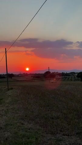 The media file captures a sunset over a rural landscape in Grosseto, Italy. The sun, a brilliant orb of orange and red, is low on the horizon, casting a warm glow across the sky and illuminating a few scattered clouds. The sky transitions from a vibrant orange near the sun to shades of pink and purple, eventually fading into a dusky blue at the top of the frame.

The foreground is dominated by a field of dry, golden grass, suggesting it might be harvest season or late summer. In the mid-ground, a few trees and scattered buildings can be seen, hinting at a small village or scattered farmsteads. The distant background features a line of rolling hills or mountains, silhouetted against the colorful sky.

A power line stretches across the upper portion of the frame, with a wooden pole visible on the left side, adding a man-made element to the natural scenery. Another utility pole is visible in the mid-ground on the right. The overall atmosphere is serene and picturesque, evoking a sense of peace and the beauty of a rural sunset. The time of day is clearly sunset due to the position and color of the sun and the sky. There is no visible text in the media file.