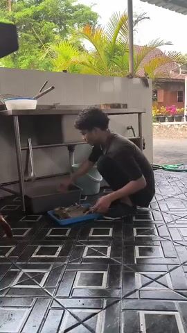 A young man in a black shirt and pants is squatting on a tiled floor in an outdoor kitchen area. He is reaching into a gray plastic tub with his left hand, pulling out a large, grey fish. In front of him, on a blue plastic tray, are several other fish. Behind him is a stainless steel counter with various kitchen utensils. The background shows lush green foliage and a building with a red roof. The overall scene depicts food preparation.