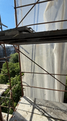 Scaffolding platform overlooks green canopy and distant buildings