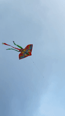 Colorful kites spotted flying over Đà Lạt, Vietnam
