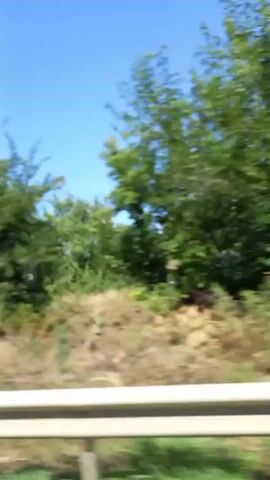 A blurred video captures a view from a moving vehicle. The scenery outside consists of green trees and vegetation lining a road, with a clear blue sky overhead. A white barrier runs along the side of the road. In the distance, there are glimpses of a body of water and more trees. There are no people visible in the video. The motion of the vehicle causes the landscape to appear smeared.