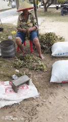 Morning work and market life in Sindang Sari, Indonesia