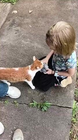 A high-angle shot captures a young child with blonde hair, wearing a floral print shirt and black pants, sitting on a concrete surface. The child is holding a small, gray object. To the child's left, an orange and white cat with its body extended is interacting with the child and the object. The cat appears to be nuzzling the child and sniffing the object. A pair of white sneakers is visible to the left of the cat, suggesting someone is standing there. Another pair of light-colored shoes is visible at the bottom of the frame. The environment is outdoors, with green foliage visible on the right side of the frame. The concrete surface shows cracks and appears to be a walkway or path. The overall scene depicts a gentle interaction between a child and a cat.