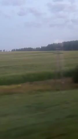 The video shows a blur of a vast green field under a cloudy sky. The view is from a moving vehicle, likely a train or car, as indicated by the motion blur. A line of trees forms the horizon in the distance. The sky is a soft gray-blue with scattered white clouds. The field appears to be agricultural, possibly with crops such as wheat or grass. There are no people or discernible objects within the field itself, except for a brief glimpse of a dark, bush-like shape on the left side of the frame around the 00:01 mark. The overall impression is of a serene, pastoral landscape viewed in transit.