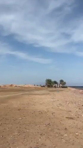 Tourist activities documented in Dahab desert resort town