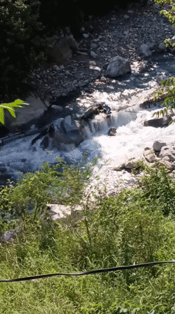 Morning wander through Old Manali: rapids, wildflowers, and river stones