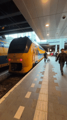 Normal train operations documented at The Hague Central Station