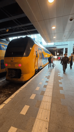 Normal train operations documented at The Hague Central Station