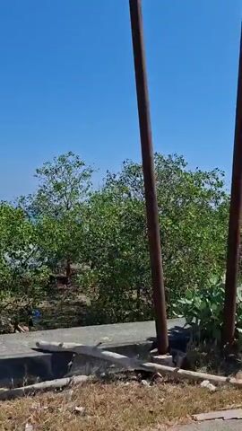 The video shows a roadside view from a moving vehicle. The sky is a clear blue. On the left side of the frame, there are trees and vegetation. A concrete barrier runs along the edge of the road, and some debris is visible on the ground next to it. The camera pans to the right, revealing more trees, power lines, and a body of water in the distance, possibly a river or sea. Some mangrove-like trees are growing in the water. There are no people or animals visible in the video. The time stamps indicate a short duration, likely a few seconds.