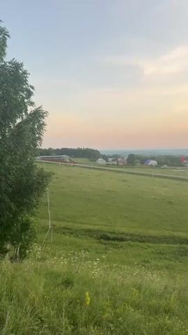 A video shows a panoramic view of a rural landscape at dusk. In the foreground, tall green grass and wildflowers are visible. A large tree trunk is on the left side of the frame, with its leaves partially obscuring the sky. In the midground, a vast, green, and gently sloping field stretches out towards a village. The village consists of houses with colorful roofs, a red building, and some other structures, all nestled amongst trees. A road runs through the village. In the background, a hazy, treed horizon meets a sky colored with soft hues of pink and orange, indicating either sunrise or sunset. There is a faint cloud formation in the upper part of the sky.