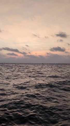 The video shows an ocean view at sunset, with small waves moving across the surface of the water. The sky is a mix of pink and grey hues, with scattered clouds. A small boat is visible in the distance, emitting a blue light. The general environment is serene and aquatic.
