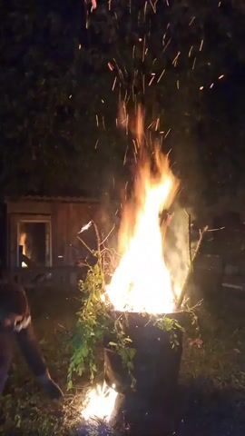 The video captures an outdoor scene at night, illuminated primarily by a large, vigorous fire. A bright orange and yellow flame erupts from a metal barrel or container positioned centrally in the frame. Numerous sparks and embers fly high into the dark sky from the intense blaze. Green foliage, appearing to be branches and leaves, is visible around and partially within the burning barrel.

A man, dressed in dark clothing, is the primary subject interacting with the fire. He is seen using a long stick or tool to tend to the flames, poking at the burning material inside the barrel. At the very beginning of the clip, he is bent over, seemingly attending to a smaller fire on the ground near the main barrel fire, before standing up and focusing on the larger conflagration.

In the background, a small, dark wooden structure, possibly a shed or outbuilding, is visible, faintly lit by the firelight. It has a dark, rectangular opening, which could be a doorway or window. The surrounding environment is dark, suggesting a backyard or rural setting with trees or bushes making up the distant background. The overall activity depicts the controlled burning of garden waste or debris. There is no visible text in the video.