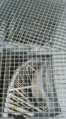 Tourist explores observation tower and park facilities in Razlog