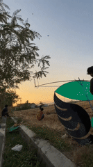Kite flying in a freshly harvested field in rural Java