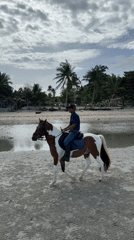 Horseback riding through surf on a Ko Samui beach