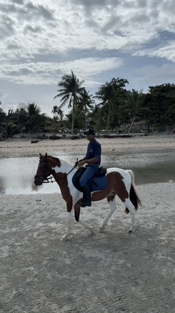 Horseback riding through surf on a Ko Samui beach