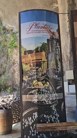 This video captures a scenic view with a large vertical advertisement for "Plantaže," a Montenegrin wine brand. The advertisement features images of grape harvesting, wine barrels, and lush vineyards, accompanied by the text "Plantaže Montenegro Wine Brand since 1963 Indigenous grape varieties."

The scene is set outdoors, with a natural rock face adorned with greenery and a cascading waterfall. A stone wall, constructed from rounded river stones, forms a boundary in the foreground, with a wooden wine barrel and a potted plant placed near it. The overall atmosphere suggests a winery or a tourist attraction related to viticulture, possibly located in a mountainous or hilly region given the rocky terrain and waterfall. The time of day appears to be daytime, with bright sunlight illuminating the scene. The weather seems pleasant, conducive to outdoor activities. The natural beauty of the waterfall and the surrounding vegetation creates a serene and picturesque setting.
