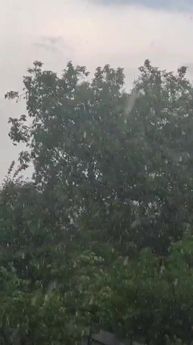 Rainy day through the trees in Uzhhorod, Ukraine