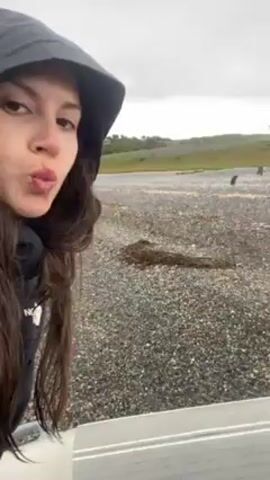 A woman wearing a black hooded raincoat stands in front of a grey beach, smiling at the camera. She has long brown hair. In the distance, several dark shapes, possibly penguins, stand on the pebble-covered beach. The sky is overcast and grey. In the foreground is a low wall or barrier. There is driftwood on the beach.