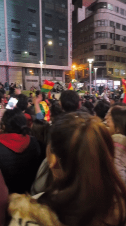 Bolivian flag-waving crowds celebrate in La Paz streets overnight