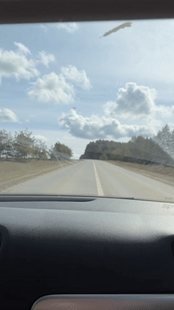 Vehicle travels tree-lined road in Oreshniki under cloudy skies