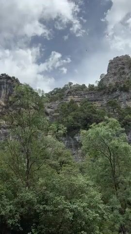A rocky cliff face covered in trees is visible, with clouds in the sky. In the foreground, a goat is seen walking near a stream.
