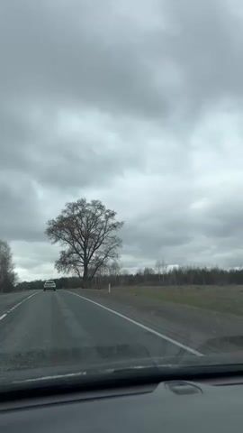 The video shows a car driving along a two-lane road on an overcast day. A large, leafless tree stands on the roadside, and another car is visible further down the road in the distance. The camera pans upward to showcase the tree's branches against the cloudy sky. A child's voice can be heard saying "I can't see".