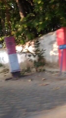 The video shows a person or object moving along a path, with a white wall and trees visible in the background. The movement suggests a vehicle or a person walking or running. The lighting indicates it is daytime, possibly late afternoon due to the shadows. The environment appears to be outdoors, with some foliage and a paved or dirt path. A red and white structure is visible briefly on the right side of the frame.