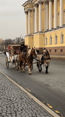 Horse carriage and child with phone spotted in Saint Petersburg