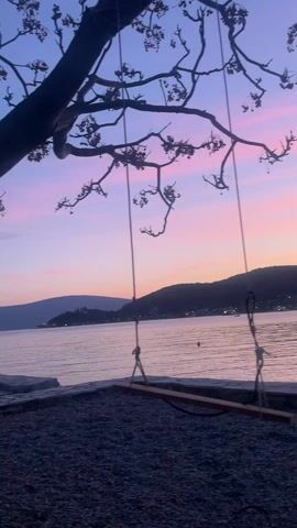 The video depicts a static shot of a swing hanging from a tree, silhouetted against a sunset sky. The sky is a blend of pink and blue hues. The swing consists of a wooden plank suspended by ropes. Below the swing is a pebbled ground. In the background, a body of water stretches out, with a coastline and hills visible on the opposite side. Lights dot the coastline, suggesting a settlement. The tree's branches are bare, with small buds or flowers present. The overall scene evokes a sense of tranquility and natural beauty.