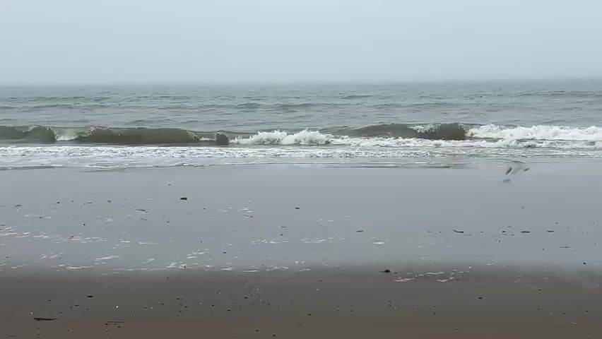 A calm ocean with gray, choppy waves washes onto a dark, wet sandy beach under a foggy, overcast sky. The water is a dark gray and the sky is a lighter gray, blending together at the horizon. The sand is wet and reflects the gray light. There are no people or objects visible in the frame.