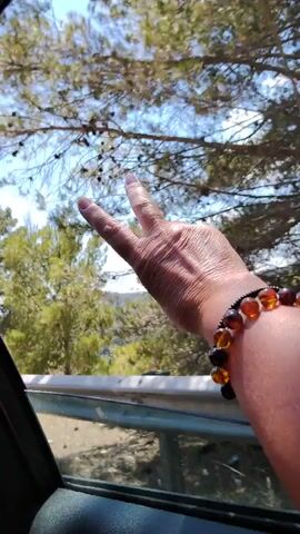 A close-up shot shows a person's arm and hand emerging from a car window, signaling a peace sign with their fingers. The background displays trees and a bright blue sky, indicating an outdoor setting, possibly during a road trip on a sunny day. The person is wearing a bracelet made of amber-colored beads. The car's interior is visible in the foreground, with a dark gray door panel and a portion of the window frame.