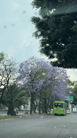 Rainy evening scene captured on Mexico City street