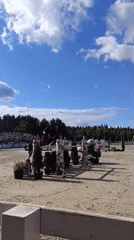Show jumping competition with performances and awards in Ivanovskoe