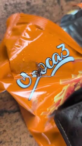 A close-up video shows an insect on an orange bag of snacks. The insect appears to be an ant, with a brown body and antennae. It is walking across the surface of the bag, which has water droplets on it. The bag has a logo that reads "Socoz" in white lettering. The background is blurry, but appears to be a textured surface, possibly a table or countertop.