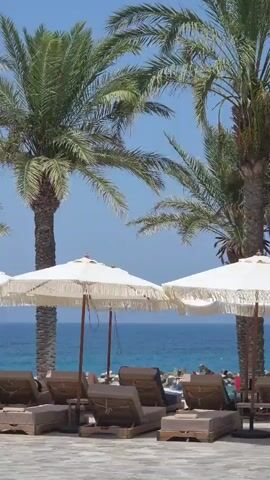 This is a vertical, close-up, exterior shot of a beach resort on a bright, sunny day with a clear blue sky. In the foreground, multiple empty lounge chairs are arranged on a paved area. Above the lounge chairs, several white beach umbrellas with fringe details are open, providing shade. Behind the umbrellas, a body of water, likely the ocean, is visible, with gentle waves. Several palm trees with lush green fronds are scattered throughout the scene, with their trunks extending upwards towards the sky. The overall impression is one of a serene and inviting vacation setting.