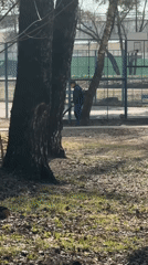 Spring morning scenes captured in Dmitrov: maintenance, budding trees, child
