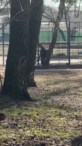 Spring morning scenes captured in Dmitrov: maintenance, budding trees, child