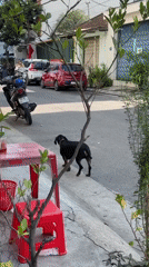 Everyday street life along a Nha Trang neighborhood on a August morning