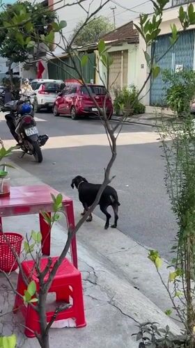 Everyday street life along a Nha Trang neighborhood on a August morning