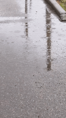 Rain and flowers captured in early morning Sterlitamak scenes