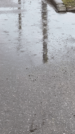 Rain and flowers captured in early morning Sterlitamak scenes