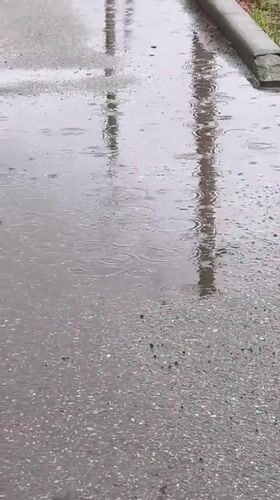 Rain and flowers captured in early morning Sterlitamak scenes