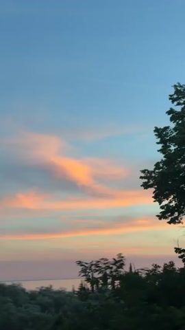 The video shows a close-up of a large, dark green tree with dense foliage. The tree is silhouetted against a sky with soft pastel colors, indicative of a sunset or sunrise. Streaks of orange, pink, and blue are visible in the sky. A thin, dark, vertical line is present on the left side of the frame, possibly a pole or a thin tree. The background beyond the tree appears to be a body of water, likely a lake or ocean, with a faint horizon line. The image is slightly out of focus, giving it a soft, atmospheric quality. There are no people or discernible actions depicted.